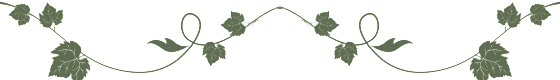 weinranke